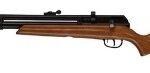 Rifle Pcp Beeman Raider